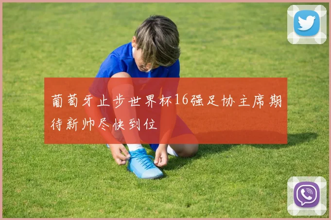葡萄牙止步世界杯16强足协主席期待新帅尽快到位